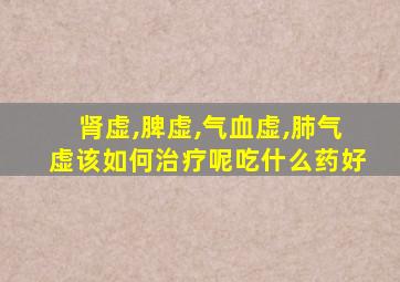 肾虚,脾虚,气血虚,肺气虚该如何治疗呢吃什么药好