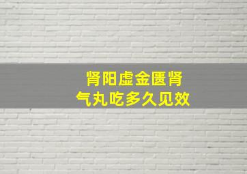 肾阳虚金匮肾气丸吃多久见效