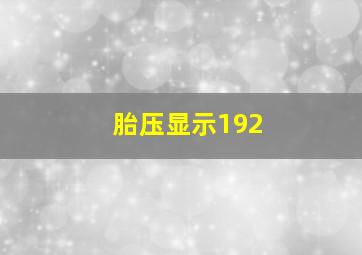 胎压显示192