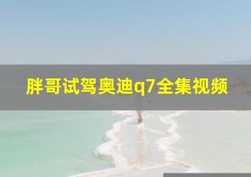 胖哥试驾奥迪q7全集视频