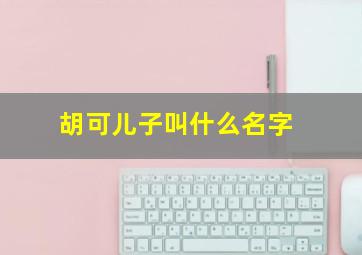 胡可儿子叫什么名字