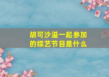 胡可沙溢一起参加的综艺节目是什么