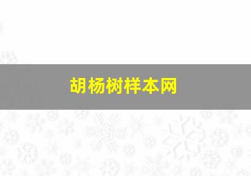 胡杨树样本网