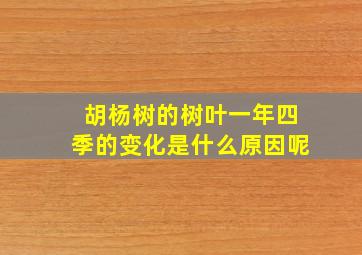 胡杨树的树叶一年四季的变化是什么原因呢