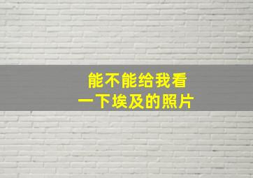 能不能给我看一下埃及的照片