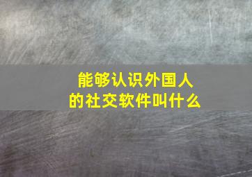 能够认识外国人的社交软件叫什么