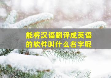 能将汉语翻译成英语的软件叫什么名字呢