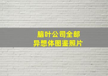 脑叶公司全部异想体图鉴照片