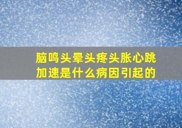 脑鸣头晕头疼头胀心跳加速是什么病因引起的