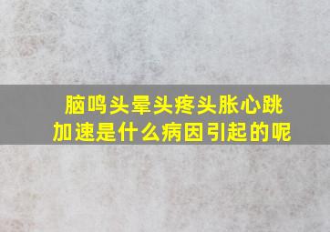 脑鸣头晕头疼头胀心跳加速是什么病因引起的呢