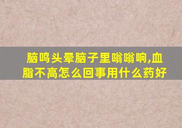 脑鸣头晕脑子里嗡嗡响,血脂不高怎么回事用什么药好