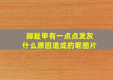 脚趾甲有一点点发灰什么原因造成的呢图片