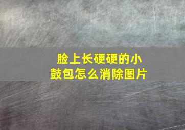 脸上长硬硬的小鼓包怎么消除图片