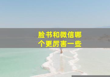 脸书和微信哪个更厉害一些