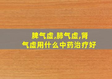 脾气虚,肺气虚,肾气虚用什么中药治疗好