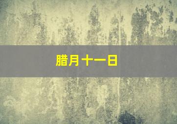 腊月十一日