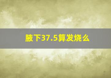 腋下37.5算发烧么