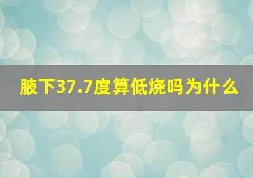 腋下37.7度算低烧吗为什么