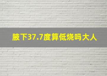 腋下37.7度算低烧吗大人