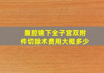 腹腔镜下全子宫双附件切除术费用大概多少