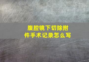 腹腔镜下切除附件手术记录怎么写