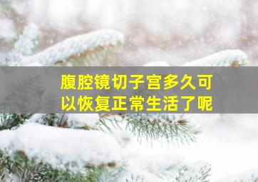 腹腔镜切子宫多久可以恢复正常生活了呢