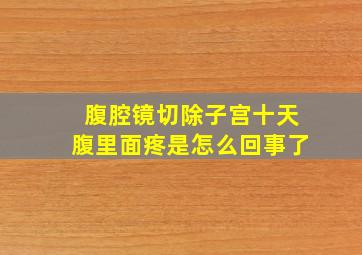 腹腔镜切除子宫十天腹里面疼是怎么回事了