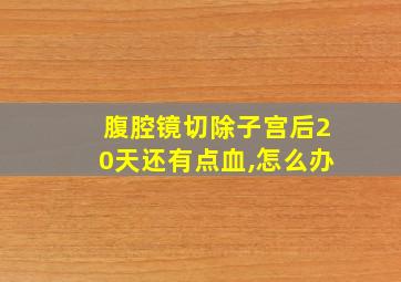 腹腔镜切除子宫后20天还有点血,怎么办