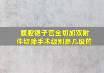 腹腔镜子宫全切加双附件切除手术级别是几级的