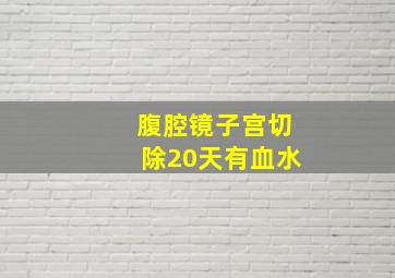 腹腔镜子宫切除20天有血水