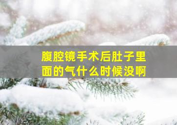 腹腔镜手术后肚子里面的气什么时候没啊