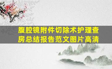 腹腔镜附件切除术护理查房总结报告范文图片高清