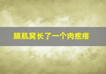 膈肌窝长了一个肉疙瘩