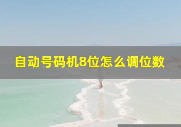 自动号码机8位怎么调位数