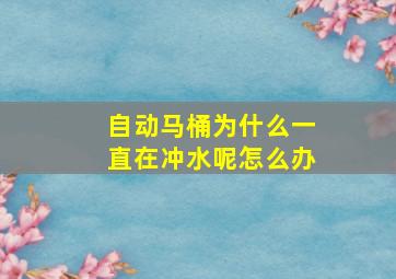 自动马桶为什么一直在冲水呢怎么办