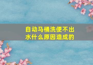 自动马桶洗便不出水什么原因造成的