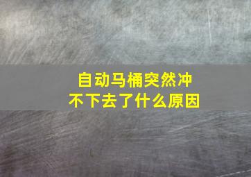 自动马桶突然冲不下去了什么原因