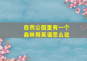 自然公园里有一个森林用英语怎么说