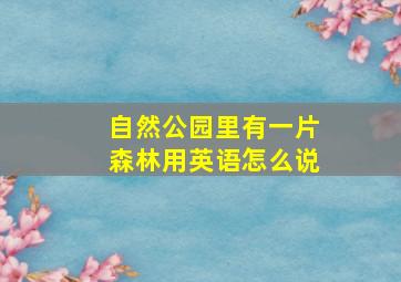 自然公园里有一片森林用英语怎么说