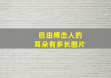 自由搏击人的耳朵有多长图片