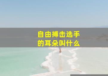 自由搏击选手的耳朵叫什么