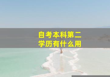 自考本科第二学历有什么用