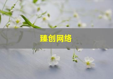 臻创网络