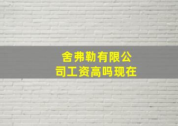 舍弗勒有限公司工资高吗现在