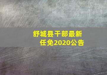 舒城县干部最新任免2020公告