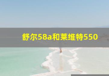 舒尔58a和莱维特550