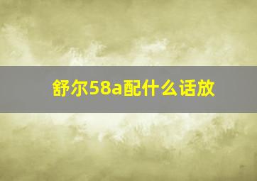 舒尔58a配什么话放