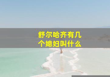 舒尔哈齐有几个媳妇叫什么