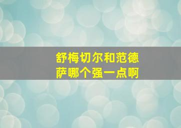 舒梅切尔和范德萨哪个强一点啊