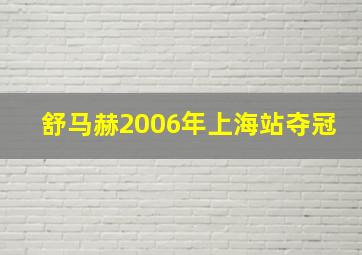 舒马赫2006年上海站夺冠